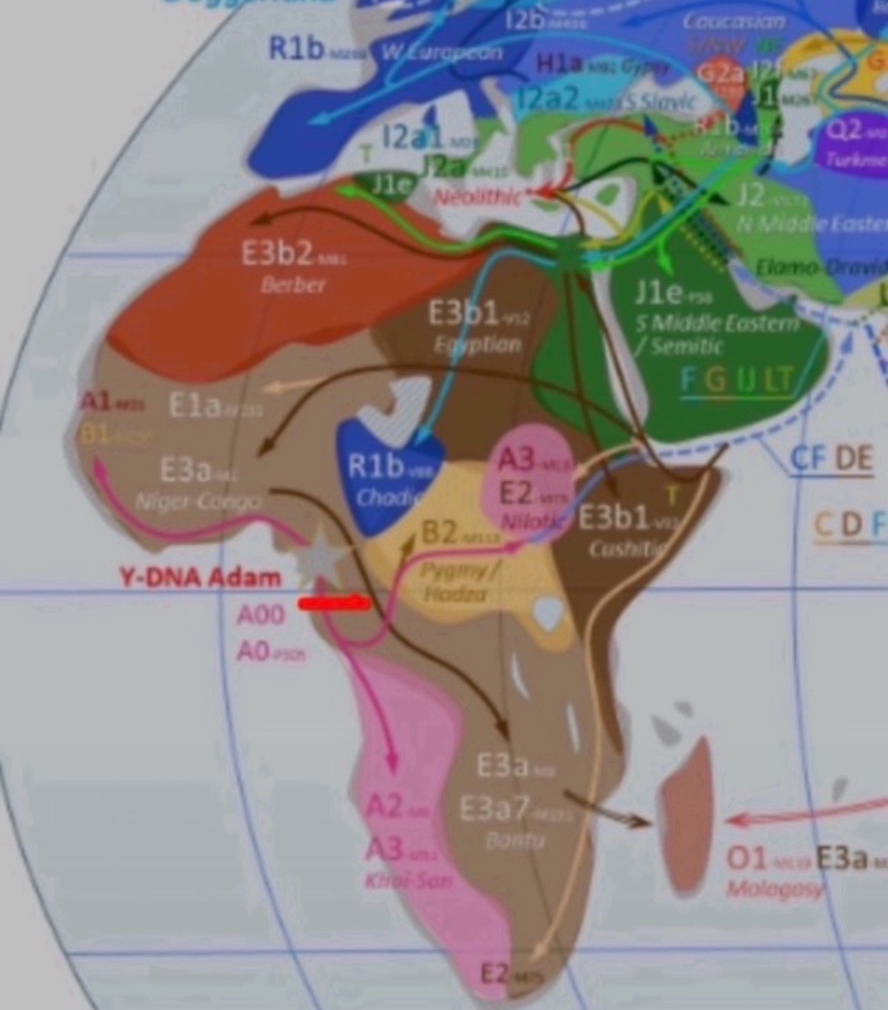 Y-DNA Adam A00 Africa Map