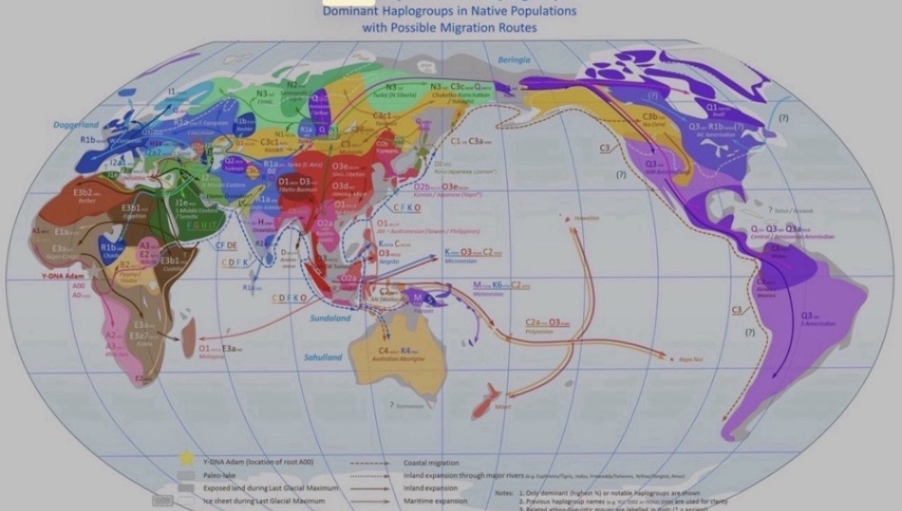 Global Haplogroup Migration Map